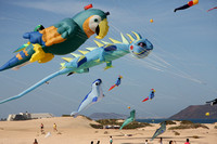 Kite Festival-Corralejo Playas